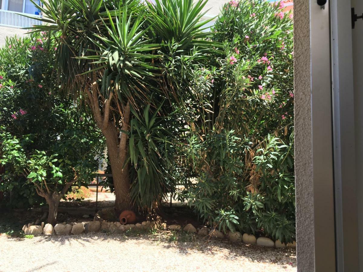 Diamond Complex Lejlighed Paphos Eksteriør billede