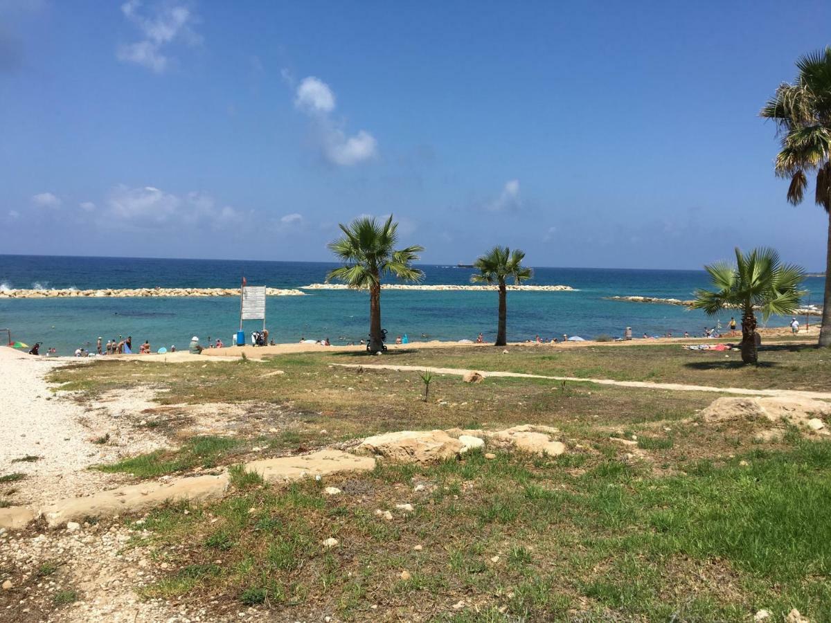 Diamond Complex Lejlighed Paphos Eksteriør billede